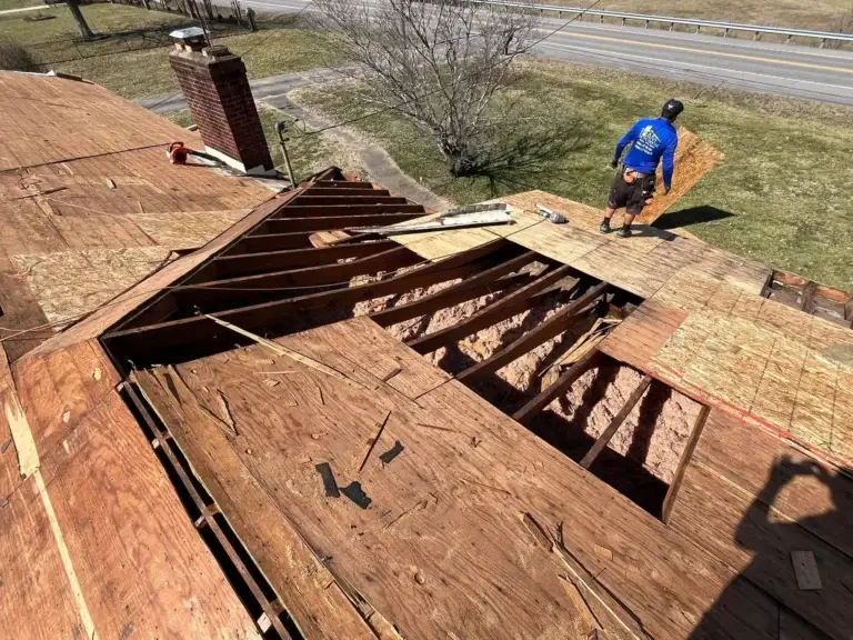 Rotted roof decking removed to expose the rafters