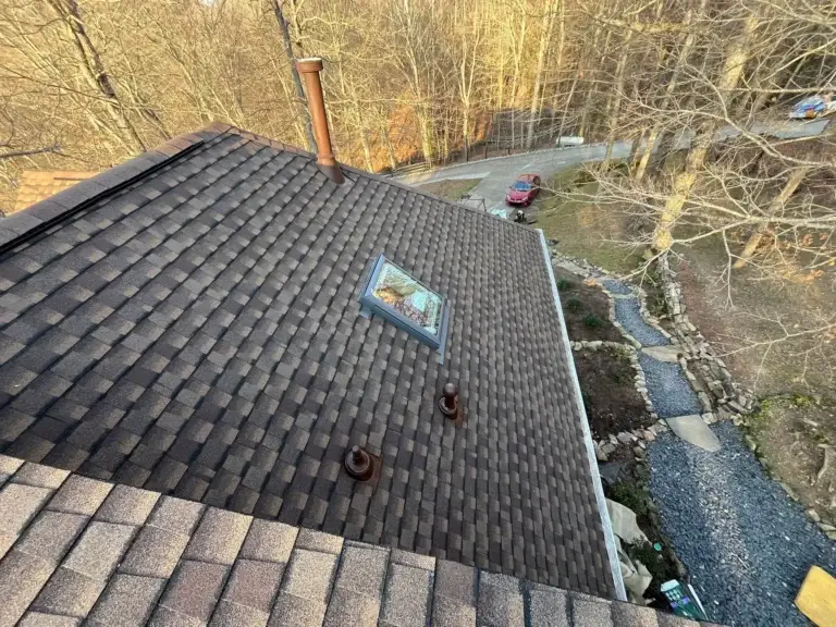 Dark shingle roof with a skylight surrounded by woods